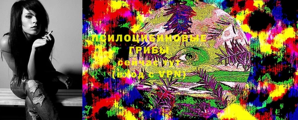 шишки Бронницы